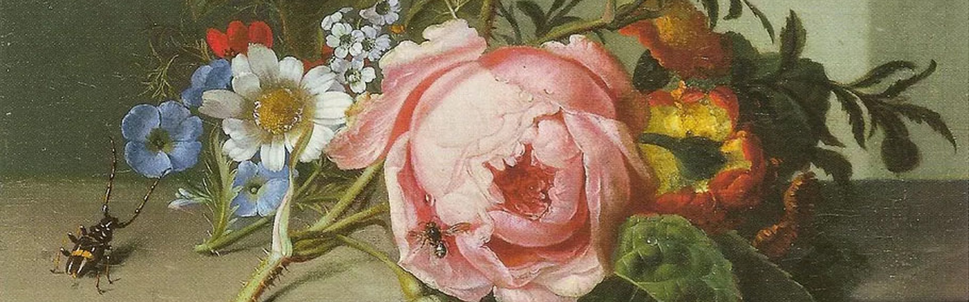 Galería de pintura de Rachel Ruysch, Países Bajos