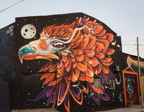 Gallery Of Street Art By Fio Silva - Argentina