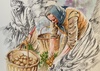 Galeria de Pinturas em Aquarela de Alvarez - Colômbia