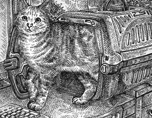 Gallery Of Illustration By Nicole Bustamante - Brazil