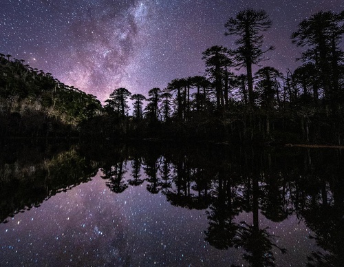 Gallery Of Photography By Fernando Gudenschwager - Chile