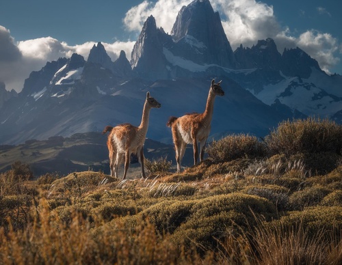 Galería de fotografía de Ty Lekki - Argentina