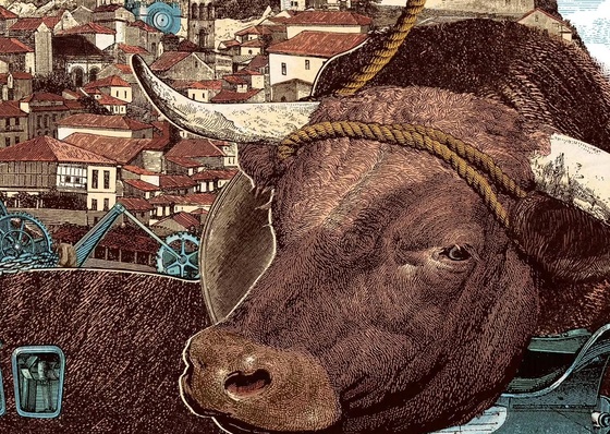 Galería de ilustraciones de Celsius Pictor - España