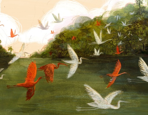 elizabeth builes