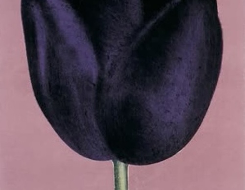 andy lovell