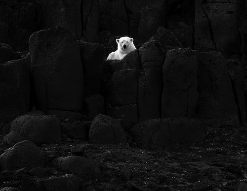 Gallery Of Photography By Mads Peter - Danish