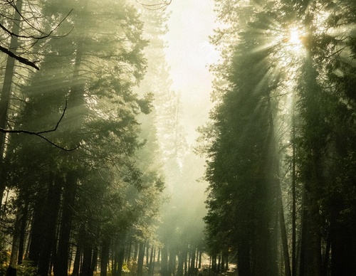 Galeria de fotografias de Tyler Glass - EUA