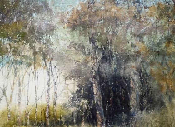 jorge swinnen