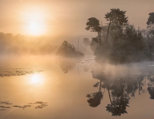 Galería de fotografía de Gijs de Reijke - Holanda