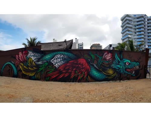 Gallery Of Street Art By Bailon - Brazil