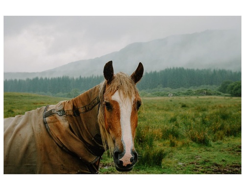 Gallery Of Photography By Daniel Casson - England