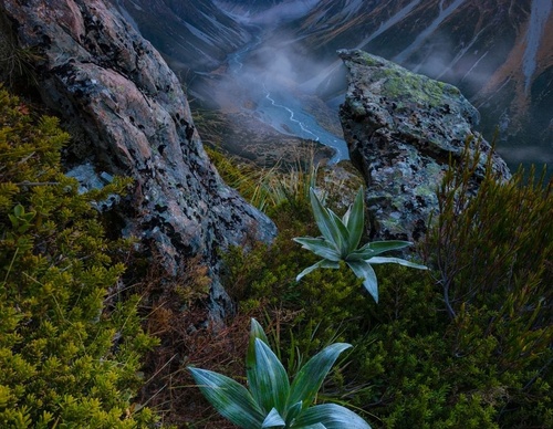 Galeria de fotografias de William Patino - Nova Zelândia