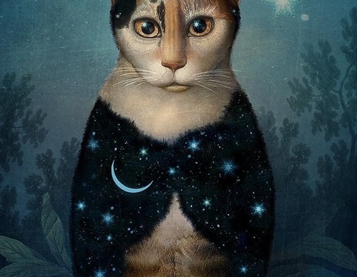 Galeria de ilustrações de Catrin Welz Stein - Alemanha