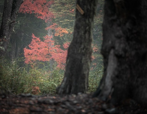 Gallery Of Photography By Jaime Garcés - Chile