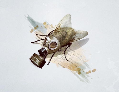 Gallery Of Illustration By Antonio Rodrigues - Brazil
