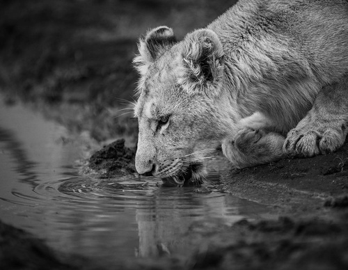 Gallery Of Photography By Fernando Faciole - Brazil