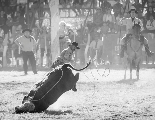 Galería de fotografía de Patricio Rodríguez - Argentina
