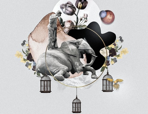 Gallery Of Illustration By Fnobre - Brazil