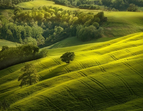 Galería de fotografía de Jorge Reinaldo - Portugal