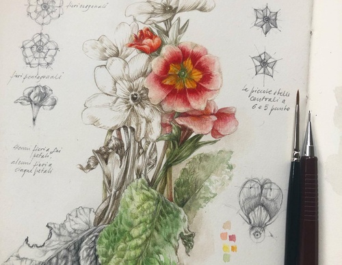 Gallery of Drawing by GiacoMina Ferrillo-Italy