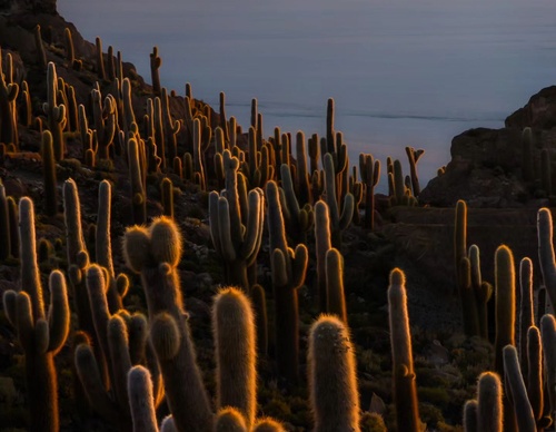 Galeria de Fotografia de Andres Valle - México