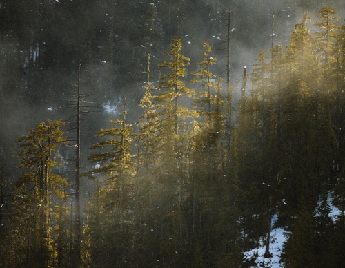 Galeria de fotografias de Tyler Glass - EUA