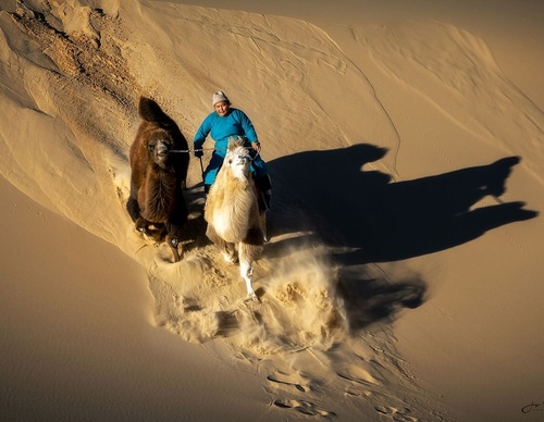 Gallery Of Photography By Zay Yar Lin - Myanmar