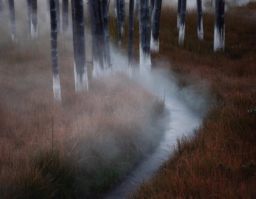Galeria de Fotografia de Isaac Spotts - EUA