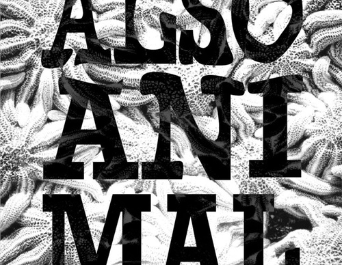 blank poster animal