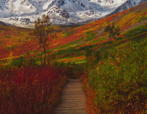 Gallery Of Photography By Patrick Thun - Alaska