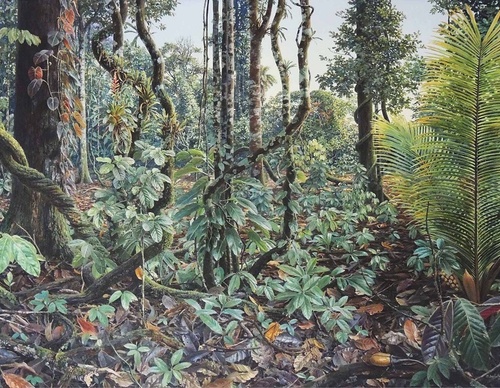 Gallery Of Painting By Maurício Barbato-Brazil