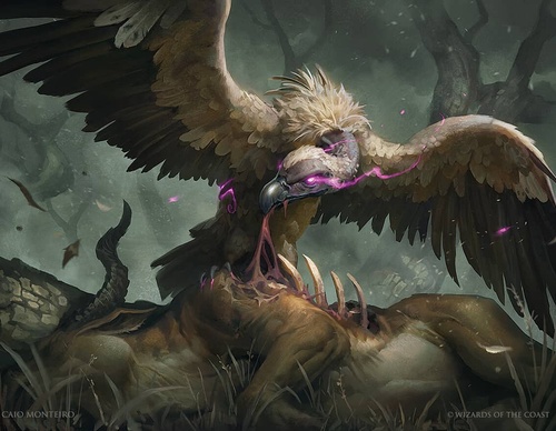 Gallery Of Illustration By Caio Monteiro - Brazil