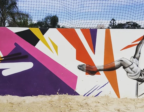 Gallery Of Street Art By Diego Forms - Brazil