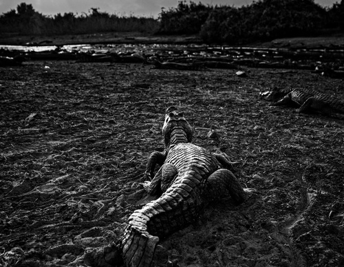 Gallery Of Photography By Fernando Faciole - Brazil