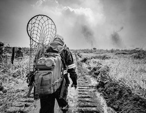 Gallery Of Photography By Fernando Faciole - Brazil