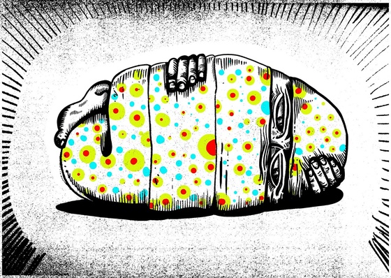 Galería de ilustraciones de Nuevox Artex - Colombia