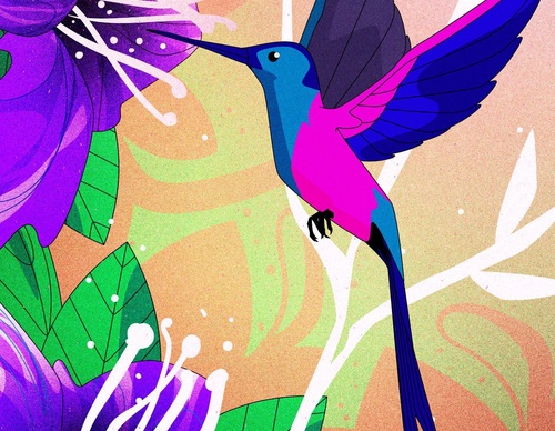 Gallery Of Illustration By Denis Freitas - Brazil