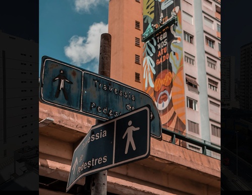 rogerio pedro