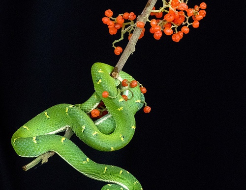 costa rica jim zuckerman