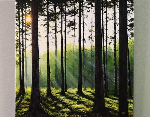 Gallery Of Painting By Tomi Anttila - Finland