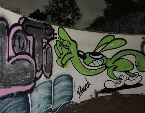Gallery Of Street Art By Peemouh - Mexico