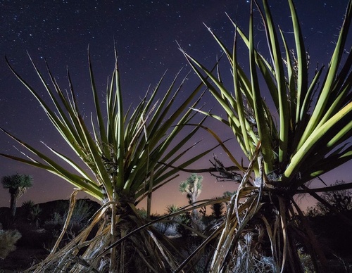 Gallery Of Photography By Keith Ladzinski - Brazil