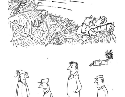 saul steinberg romania
