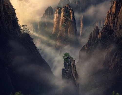 Gallery Of Photography By Max Rive - Netherlands