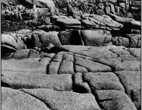 martine franck