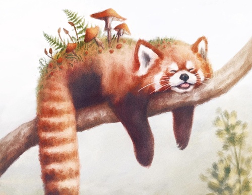 Galería De Ilustración De Luisa Azevedo - Portugal