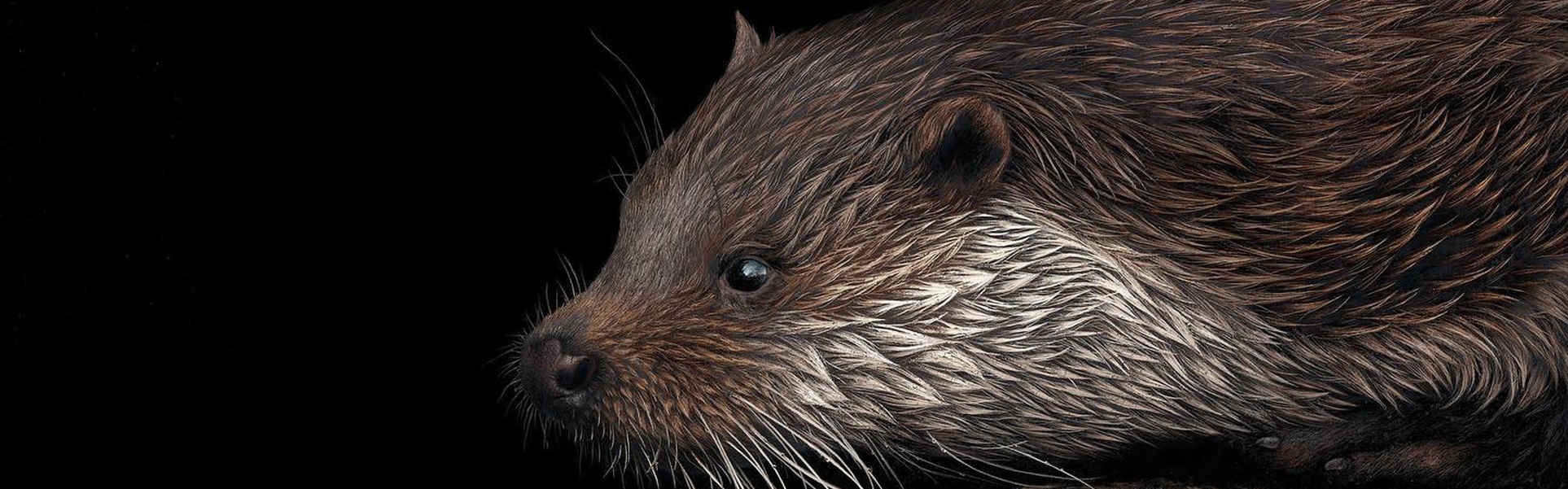 Galería de pintura realista de Annie Drew - Reino Unido