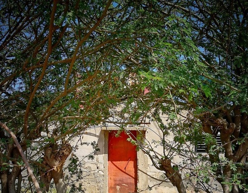 Galería de fotografía de puerta en Palestina