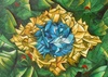 History visual arts in Brazil