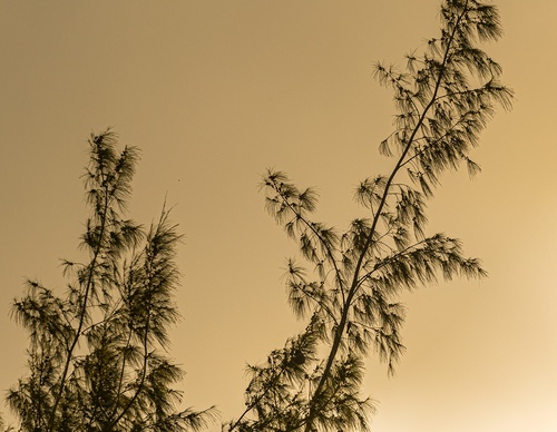 Gallery Of Photography By Norberto Kreutzer Fruhauf - Brazil